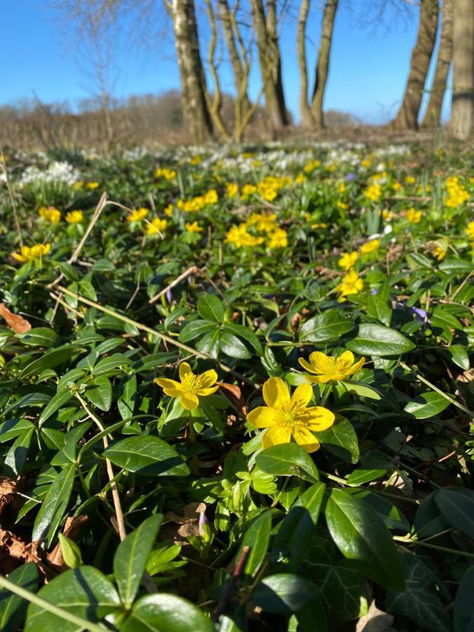 Vibaek Villa Sonderborg Luaran gambar