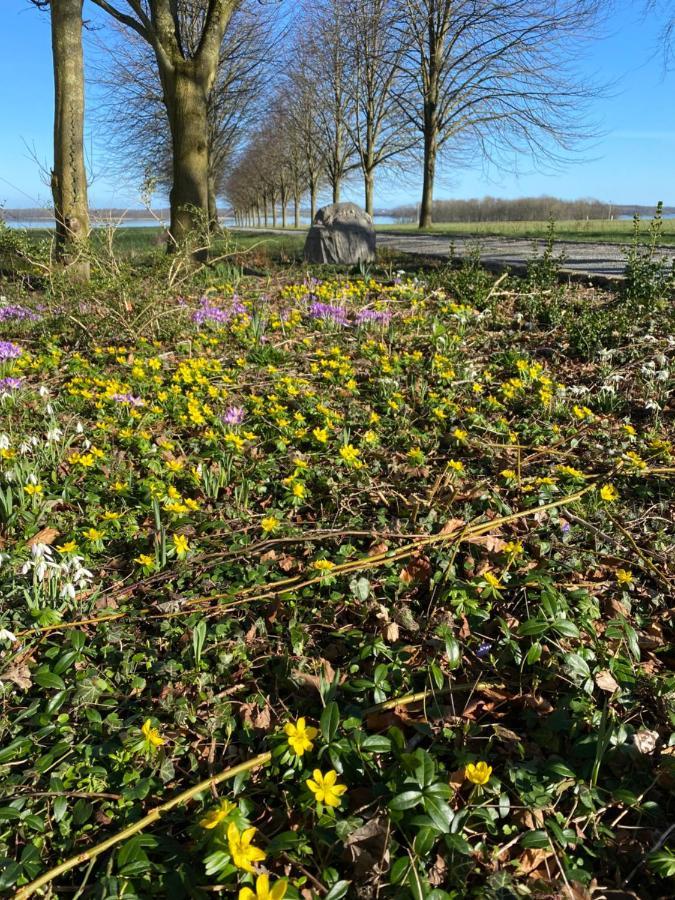 Vibaek Villa Sonderborg Luaran gambar