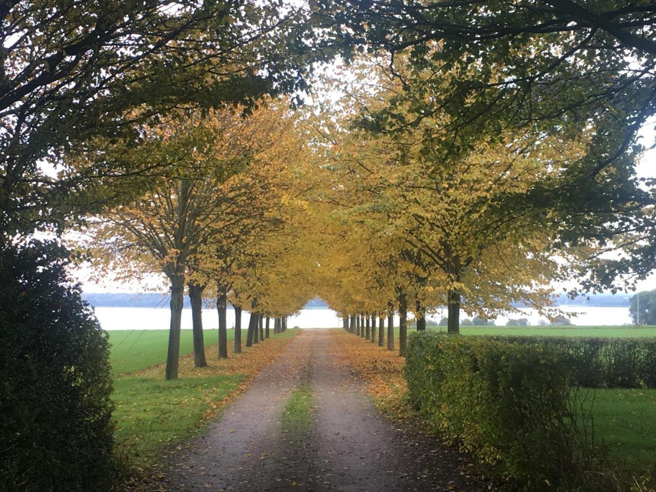 Vibaek Villa Sonderborg Luaran gambar
