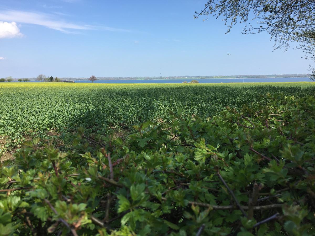 Vibaek Villa Sonderborg Luaran gambar