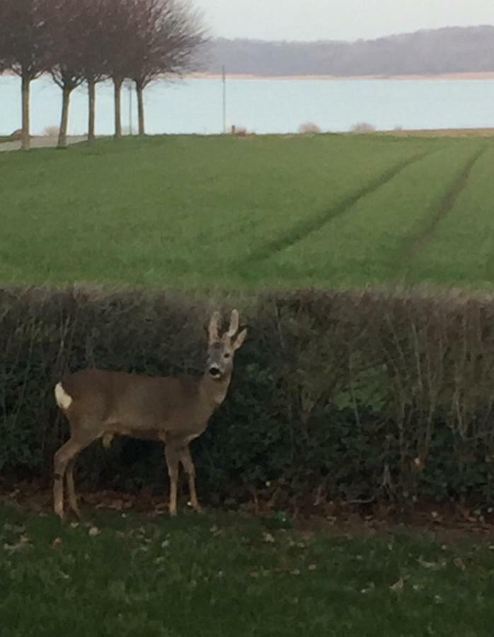 Vibaek Villa Sonderborg Luaran gambar